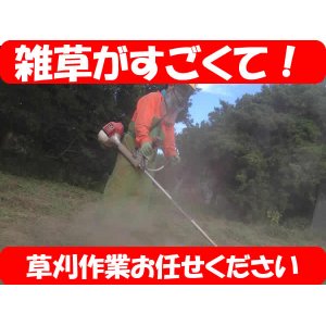 画像: 草刈・草取り