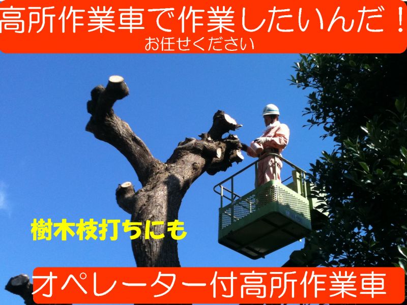画像1: オペレーター付高所作業車　樹木の枝打ち　9.9Mスカイマスター