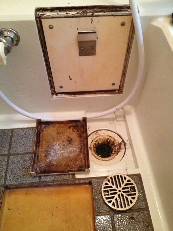 画像3: キッチン・洗面台・風呂場〔排水口〕脱臭洗浄